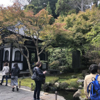 |6614| | Zahrady Kamakura