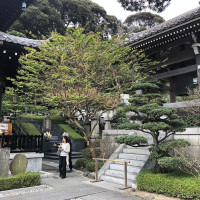 |6616| | Zahrady Kamakura