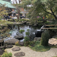 |6617| | Zahrady Kamakura