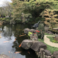 |6618| | Zahrady Kamakura