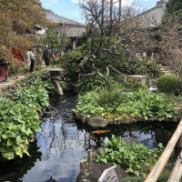 |6619| | Zahrady Kamakura