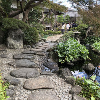 |6620| | Zahrady Kamakura