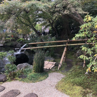 |6621| | Zahrady Kamakura