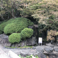 |6622| | Zahrady Kamakura