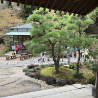 |6627| | Zahrady Kamakura