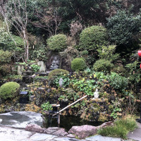 |6630| | Zahrady Kamakura