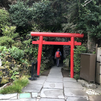 |6631| | Zahrady Kamakura