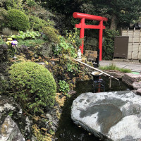 |6633| | Zahrady Kamakura
