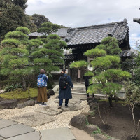 |6634| | Zahrady Kamakura