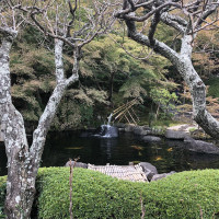 |6635| | Zahrady Kamakura