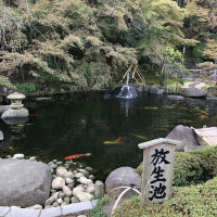 |6636| | Zahrady Kamakura