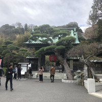 |6639| | Zahrady Kamakura