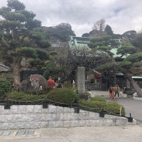 |6641| | Zahrady Kamakura