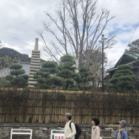 |6642| | Zahrady Kamakura