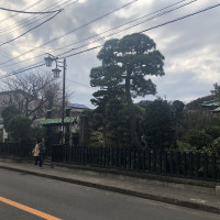 |6645| | Zahrady Kamakura
