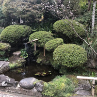|6647| | Zahrady Kamakura