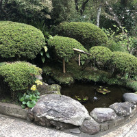 |6653| | Zahrady Kamakura