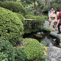 |6655| | Zahrady Kamakura
