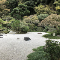 |6657| | Zahrady Kamakura