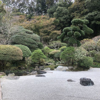 |6658| | Zahrady Kamakura