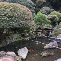 |6659| | Zahrady Kamakura