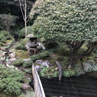|6660| | Zahrady Kamakura