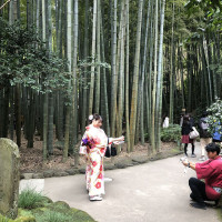 |6661| | Zahrady Kamakura