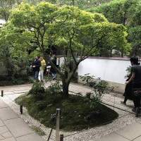 |6664| | Zahrady Kamakura