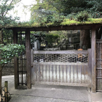 |6665| | Zahrady Kamakura