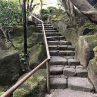 |6667| | Zahrady Kamakura