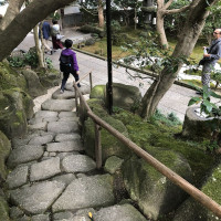 |6674| | Zahrady Kamakura