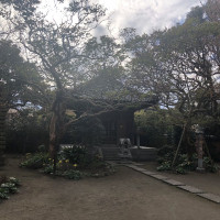 |6682| | Zahrady Kamakura