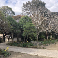 |6683| | Zahrady Kamakura