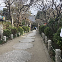 |6684| | Zahrady Kamakura