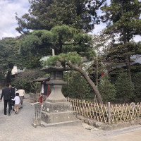 |6686| | Zahrady Kamakura