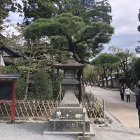 |6687| | Zahrady Kamakura