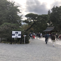 |6688| | Zahrady Kamakura