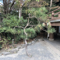 |6691| | Zahrady Kamakura