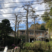 |6695| | Zahrady Kamakura