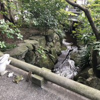 |6696| | Zahrady Kamakura