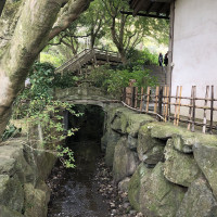 |6697| | Zahrady Kamakura