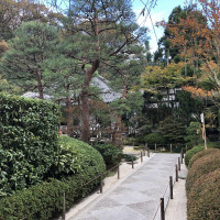 |6698| | Zahrady Kamakura