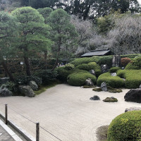 |6699| | Zahrady Kamakura