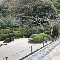 |6701| | Zahrady Kamakura