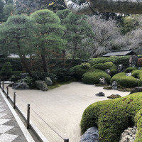 |6702| | Zahrady Kamakura
