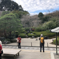 |6703| | Zahrady Kamakura