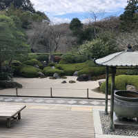 |6704| | Zahrady Kamakura