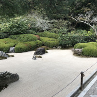 |6705| | Zahrady Kamakura