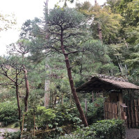 |6708| | Zahrady Kamakura