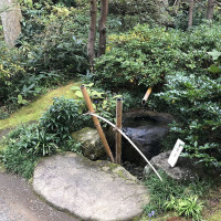 |6709| | Zahrady Kamakura